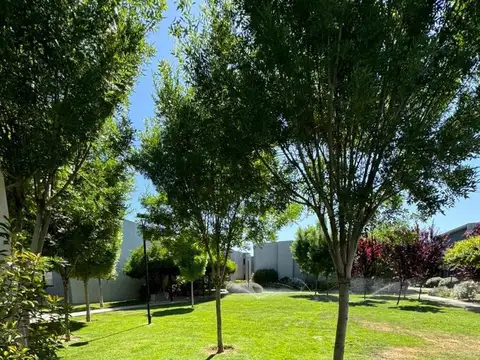 Departamento en Venta en Lujan de Cuyo, Luján de Cuyo