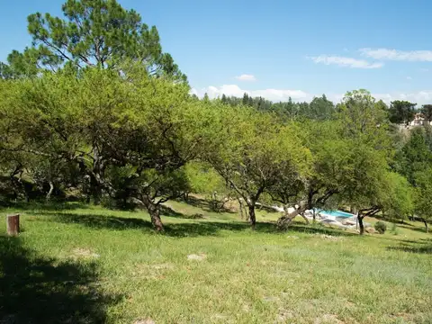 Terreno en Venta en Santa Mónica, Calamuchita