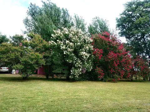 Terreno en Alquiler en Cañada de Gomez, Iriondo
