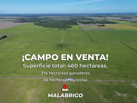 Campo en Venta en Malabrigo, General Obligado
