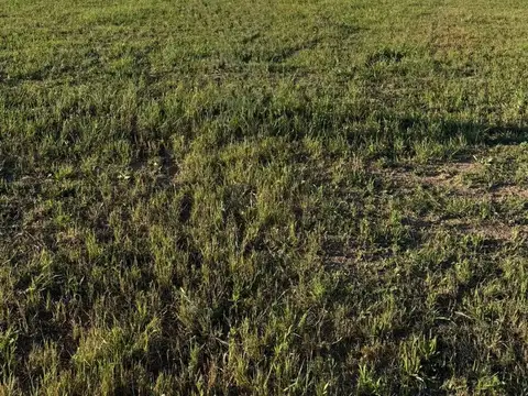 Terreno en Venta en Santa Fe, La Capital
