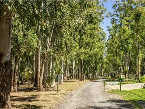 Terreno en Venta en General Lagos, Rosario