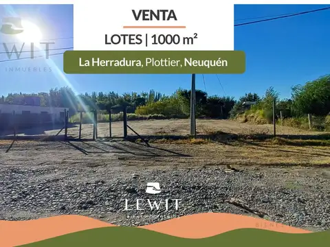 Terreno en Venta en Plottier, Confluencia