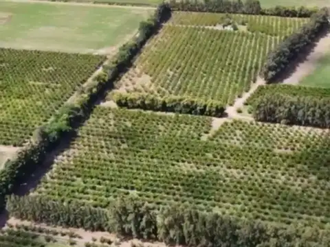 Campo en Venta en San Pedro, Partido de San Pedro