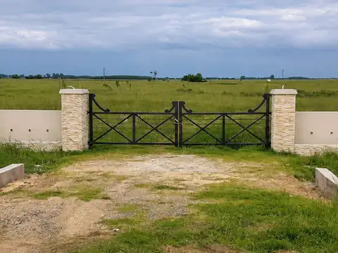 Campo en Venta en Coronel Brandsen, Partido de Brandsen