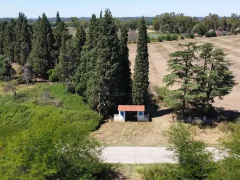 Campo en Venta en Goldney, Partido de Mercedes