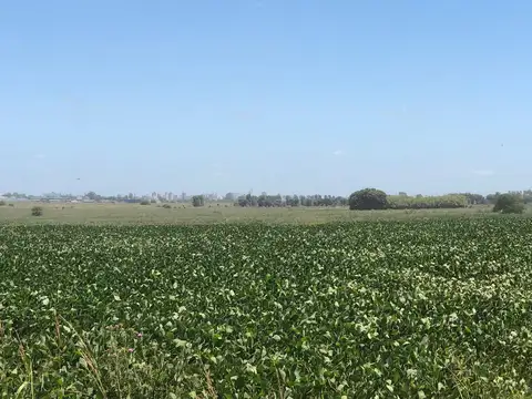 Campo en Venta en Pergamino, Partido de Pergamino