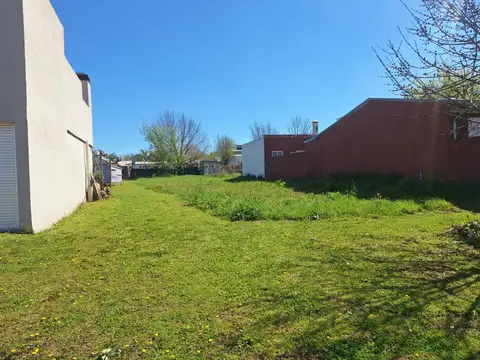 Terreno en Venta en Villa Elisa, Colón