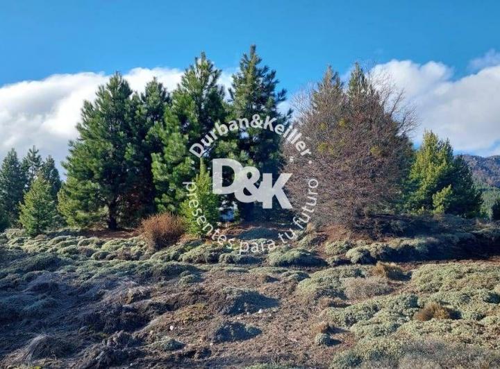 Terreno · 1000m²