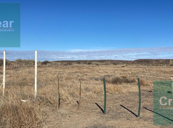 Campo · 10000m²