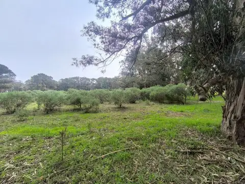 Terreno en Venta en Necochea, Partido de Necochea