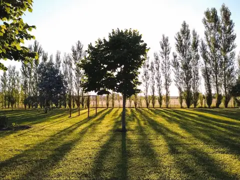 Terreno en Venta en Cañuelas, Partido de Cañuelas