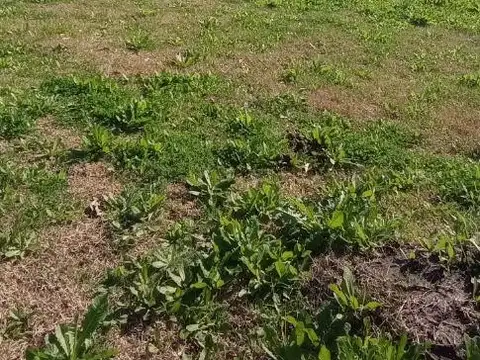 Terreno en Venta en La Posta, Countries y Barrios Cerrados en Pilar