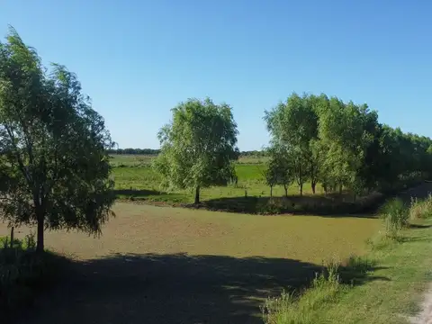 Terreno en Venta en General Juan Madariaga, Partido de General Juan Madariaga
