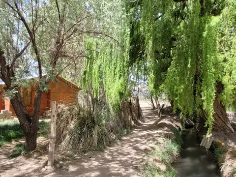 Campo en Venta en Uspallata, Las Heras