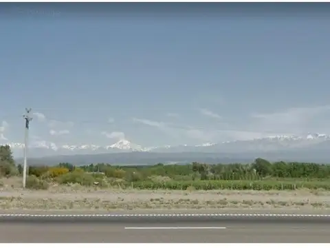 Campo en Venta en Agrelo, Luján de Cuyo