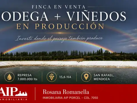 Campo en Venta en San Rafael, Mendoza