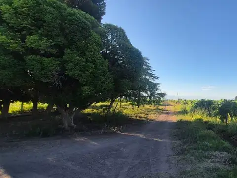 Campo en Venta en Palmira, San Martín