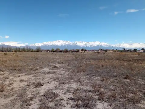 Campo en Venta en La Consulta, San Carlos
