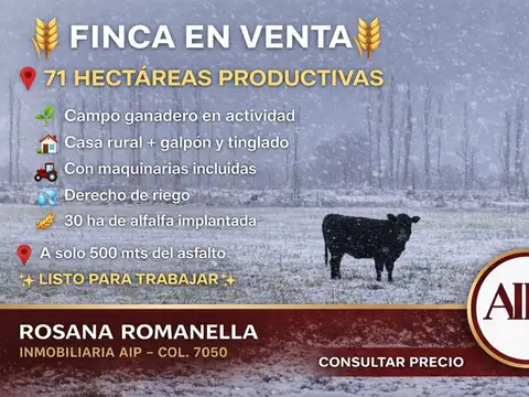 Campo en Venta en General Alvear, Mendoza
