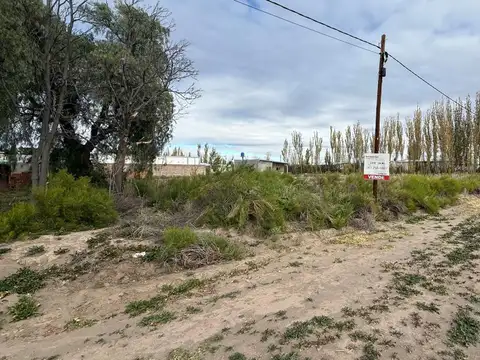 Terreno en Venta en Bowen, General Alvear