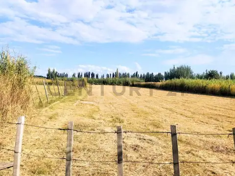 Terreno en Venta en Los Corralitos, Guaymallén