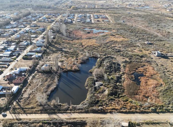Campo · 100000m²