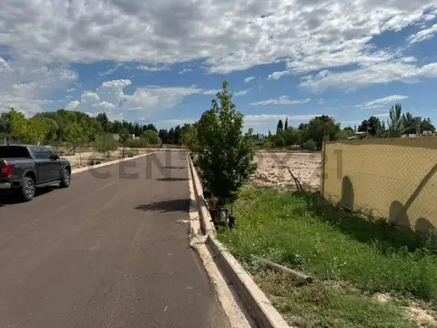 Terreno en Venta en Chacras de Coria, Luján de Cuyo