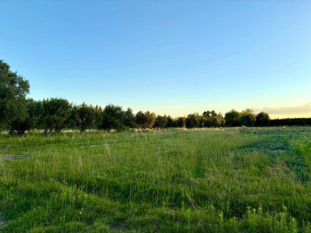 Terreno en Venta en San Rafael, Mendoza