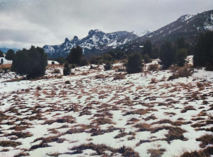 Terreno · 1300m²