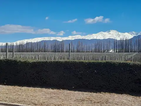 Casa en Venta en Lujan de Cuyo, Luján de Cuyo