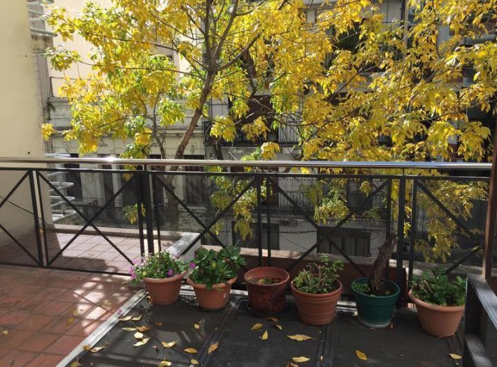 Casa · 375m² · 8 Ambientes