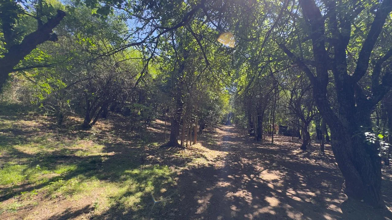 Dos terrenos en Venta 1000m2, Villa los Altos, Rio Ceballos