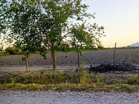 Terreno en Venta en Pocito, San Juan