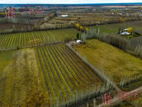 Campo en Venta en Cinco Saltos, General Roca