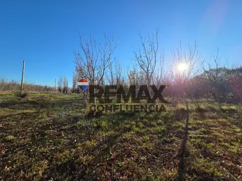 Campo en Venta en Villa Manzano, General Roca