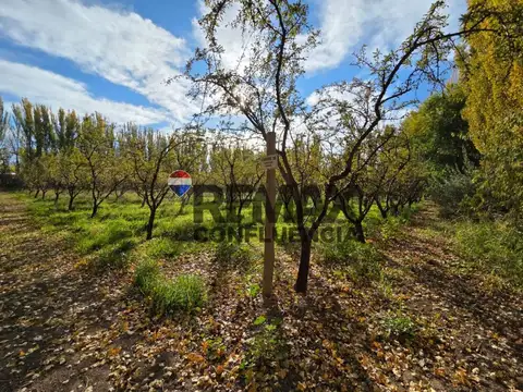 Campo en Venta en Sargento Vidal, General Roca