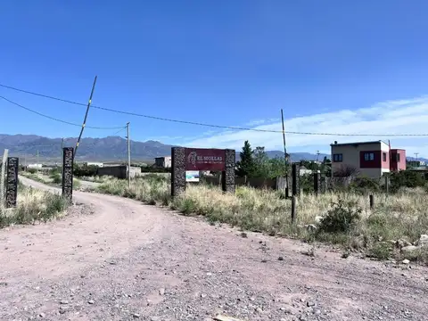 Terreno en Venta en Luján de Cuyo, Mendoza