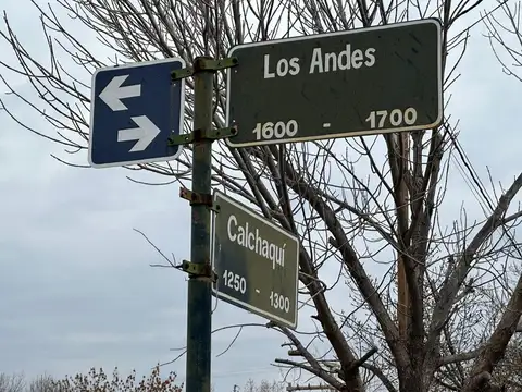 Terreno en Venta en Rivadavia, Mendoza
