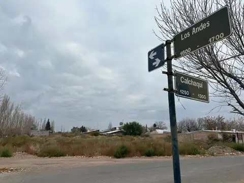 Terreno en Venta en Rivadavia, Mendoza