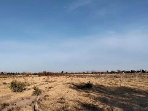Campo en Venta en Real del Padre, San Rafael