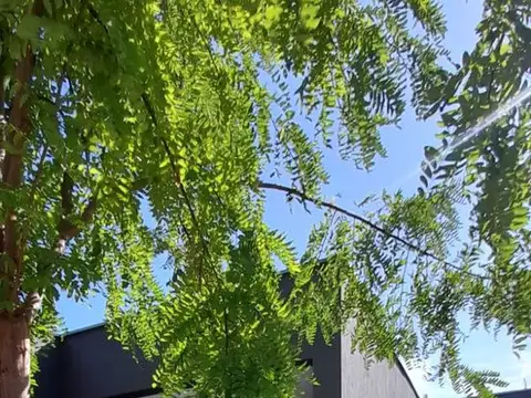 Departamento en Venta en Vistalba, Lujan de Cuyo