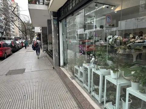 Local en Alquiler en Palermo, Capital Federal