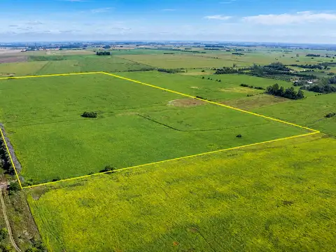 Campo en Venta en Exaltación de la Cruz, Partido de Exaltación de la Cruz