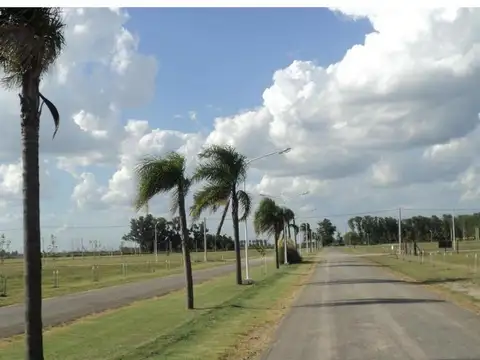 Terreno en Venta en Roldan, San Lorenzo
