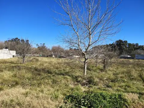 Terreno en Venta en Domselaar, Partido de San Vicente
