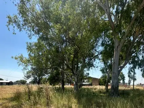 Terreno en Venta en Alejandro Korn, Partido de San Vicente