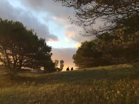 Terreno en Venta en Villa Gesell, Partido de Villa Gesell
