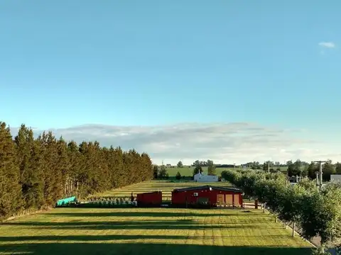 Terreno en Venta en Zavalla, Rosario