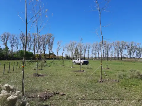 Terreno en Venta en El Malacate, Countries y Barrios Cerrados en Exaltacion de la Cruz